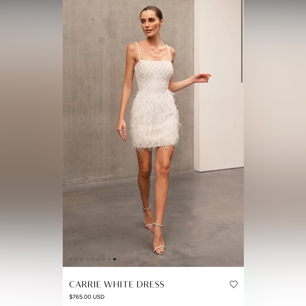 Nadine Merabi Large Carrie Dress